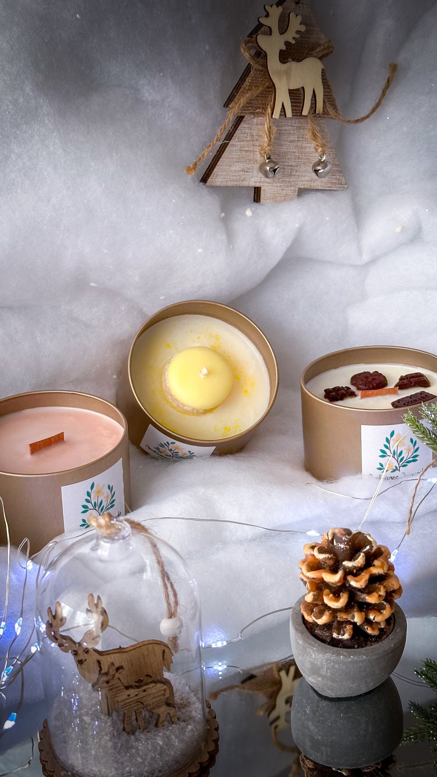 Collection Automne / Hiver 🍁 ❄️